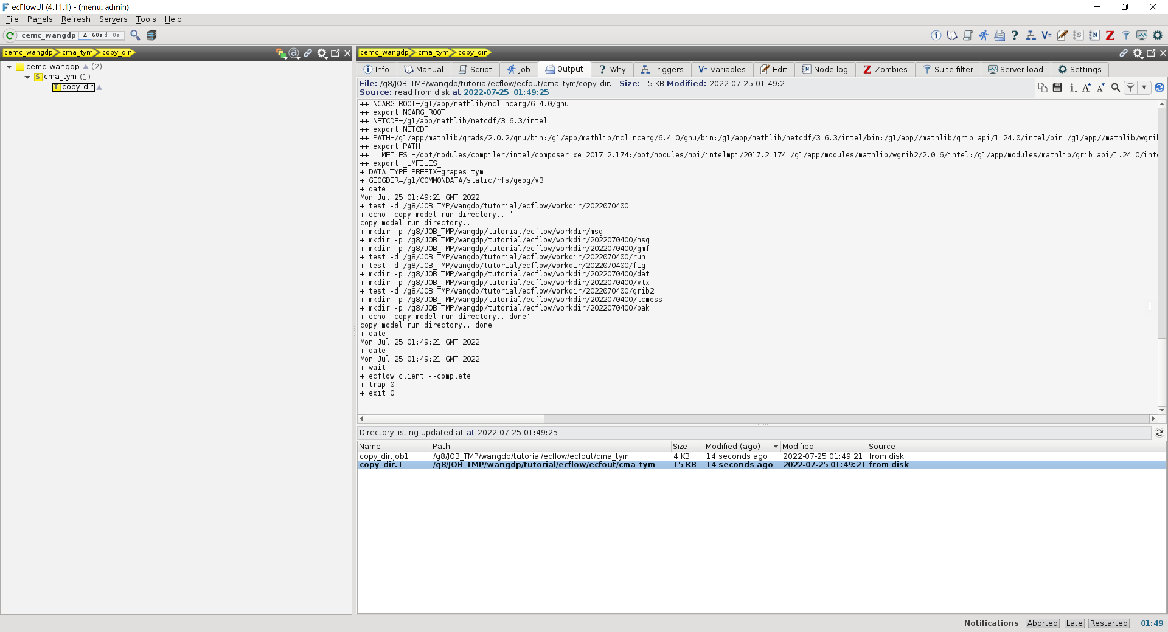 ../_images/ecflow-ui-copy-dir-run-output.png